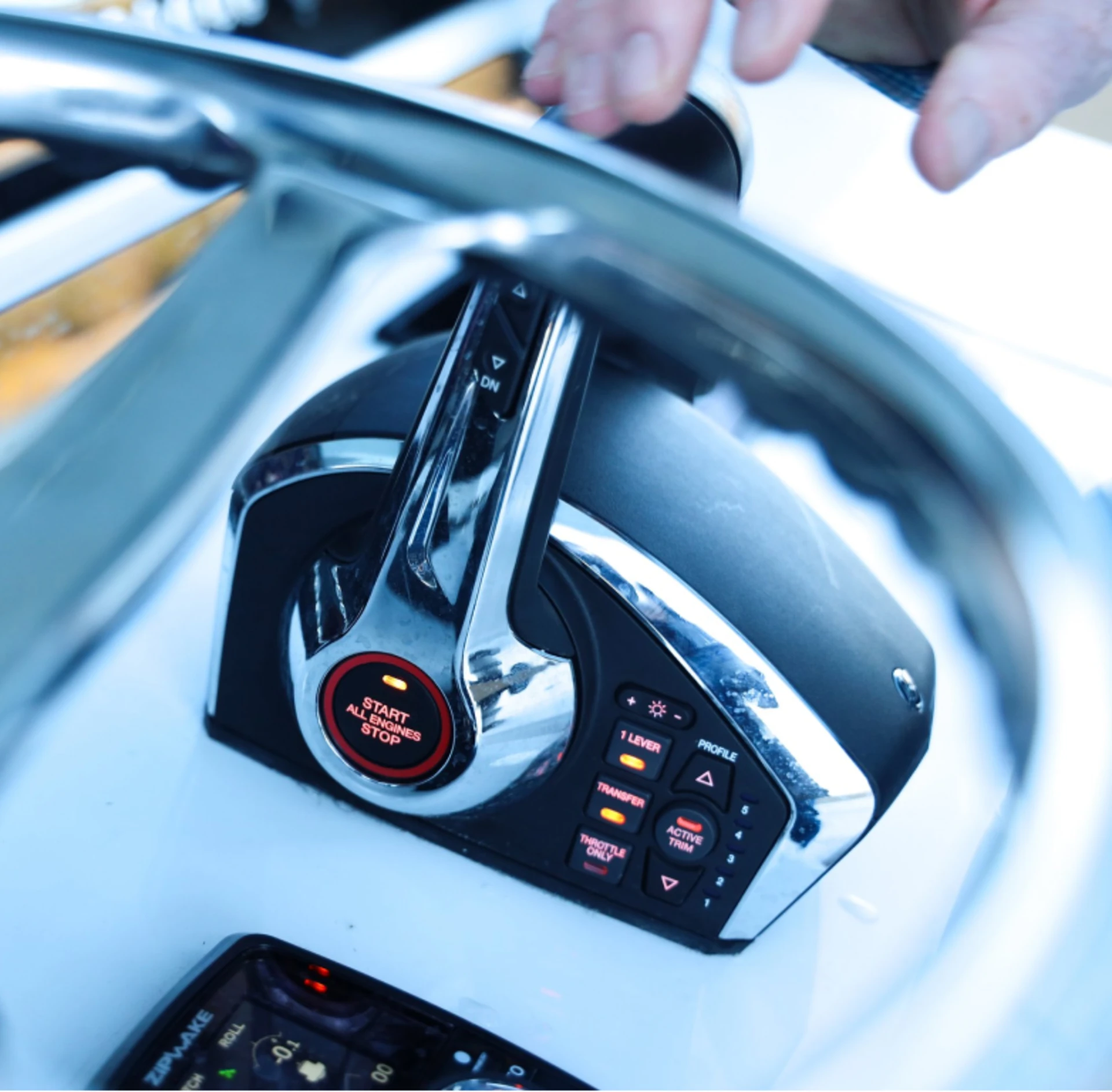 Professional Representation